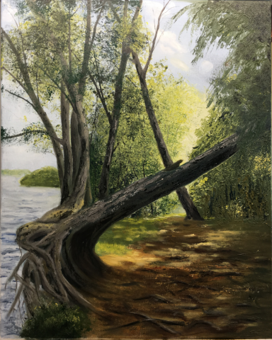 "Hopkinton State Park," oil on stretched canvas, 16x20": SOLD
